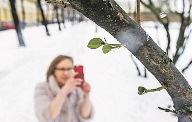 Сегодня днем, 2 февраля, в Украине до 10 тепла