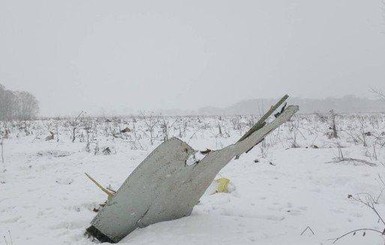 Появилось видео крушения Ан-148 под Москвой