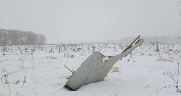 Искать останки жертв крушения Ан-148 под Москвой будут неделю