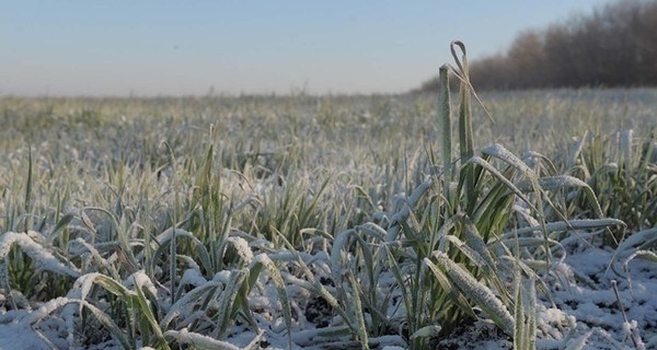 Завтра, 17 февраля, ночью до 7-10 градусов мороза