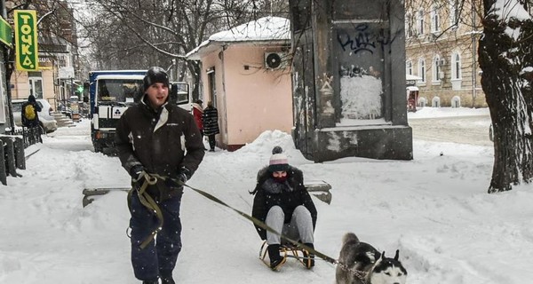 Зима продолжается: одесситы передвигаются на собачьих упряжках, а харьковчане толкают троллейбусы