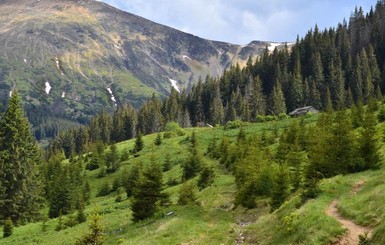 В горах на Закарпатье погиб турист