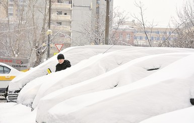 Хорошо ли вы помните стихи великих поэтов о природе