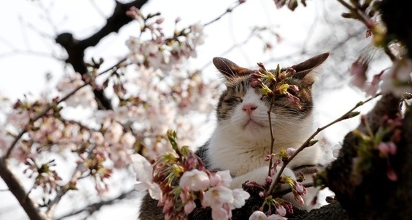 Завтра, 24 апреля, ночью местами заморозки