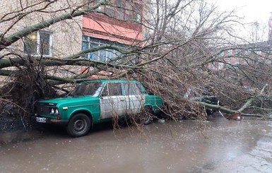 По Москве прокатился ураган, есть жертвы