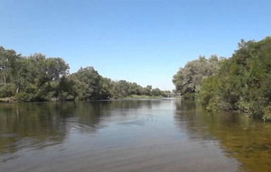 На Днепропетровщине утопленник 