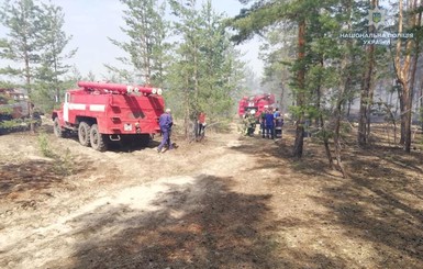 В Луганской области загорелся лес