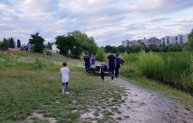 В Ужгороде жители и спасатели второй день ловят удирающего лебедя