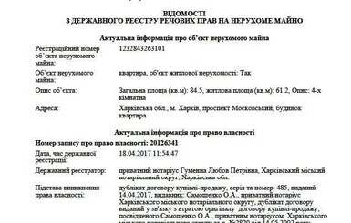 Антикоррупционные органы проверят, почему Зураб Аласания не внес в декларацию квартиру, - активисты