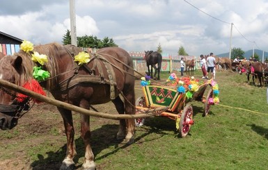 В Карпатах поставили рекорд на самый длинный транспорт