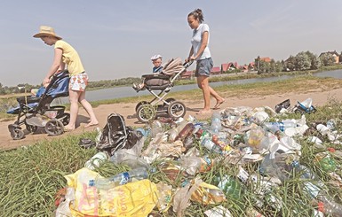 Вонь в Херсоне оказалась вызвана птичьими фекалиями