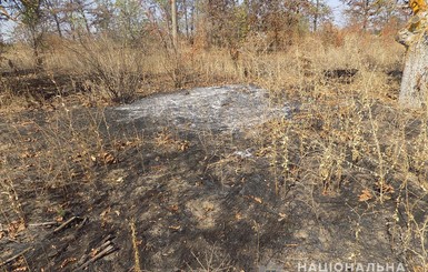 В полиции Одесчины следов поджога виноградников француза-миллионера не нашли