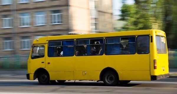 В Бердичеве водитель маршрутки избил снимавшую его на телефон пассажирку