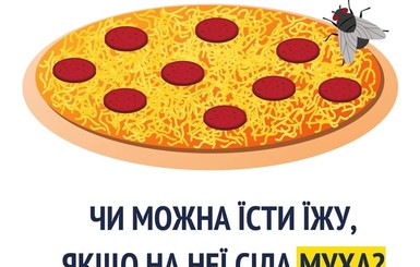 Супрун рассказала об опасности мух на продуктах