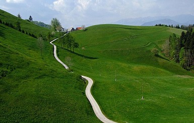 На украинских дорогах сужают полосы движения