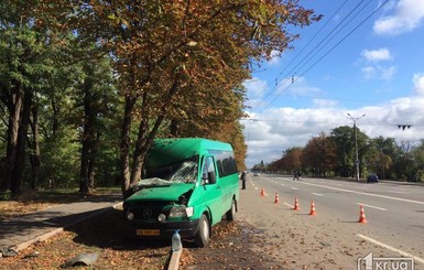 В Кривом Роге полная людей маршрутка врезалась в дерево