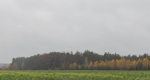 Компания Бахматюка ремонтирует разрушенную дорогу во Львовской области