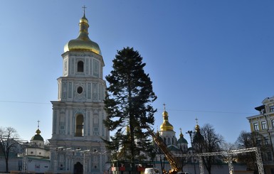 Главная елка страны будет на 8 метров  ниже  прошлогодней