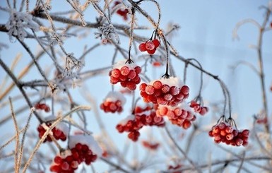 Сегодня днем, 8 октября, в Украине до 22 градусов тепла