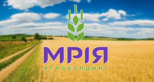 Реструктуризация агрохолдинга 