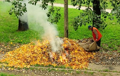 С поджигателями листьев будут бороться специнспекторы, вооруженные дронами