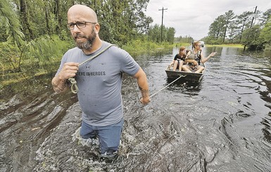 В глобальном потеплении виноваты коровы и древние люди