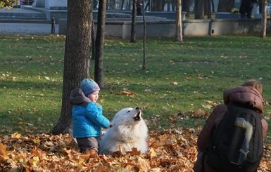 Сегодня днем, 18 октября, в  Украине до 24 градусов тепла