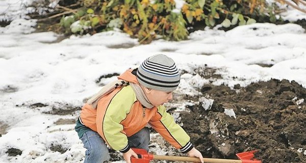 Погода в Киеве стала по-настоящему летней