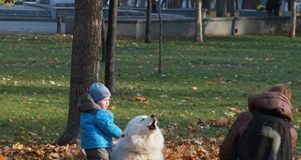 Сегодня днем, 19 октября, в Украине до 23 градусов тепла