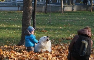 Сегодня днем, 19 октября, в Украине до 23 градусов тепла