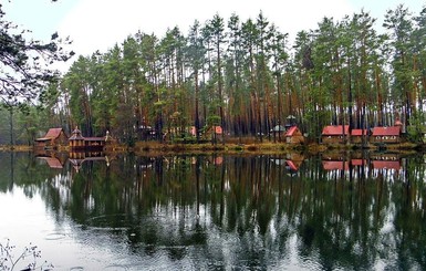 В тернопольском монастыре олень едва не забил насмерть монаха