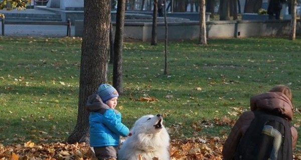 Завтра, 7 ноября, ночью местами до 3 градусов мороза