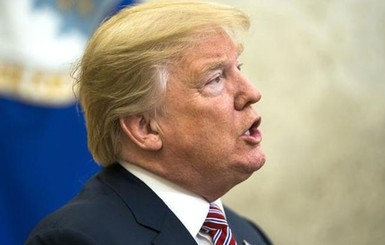 Трамп похвалил Финляндию за чистку листвы граблями, но там так не делают