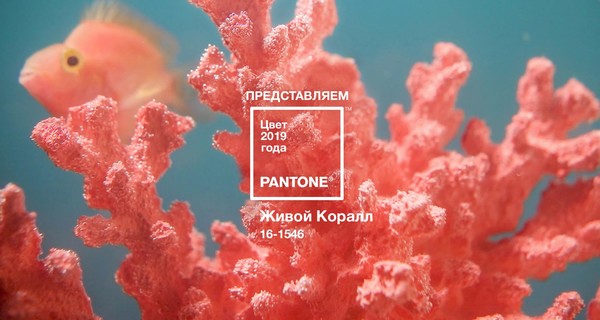 Институт Pantone назвал самый модный цвет 2019 года