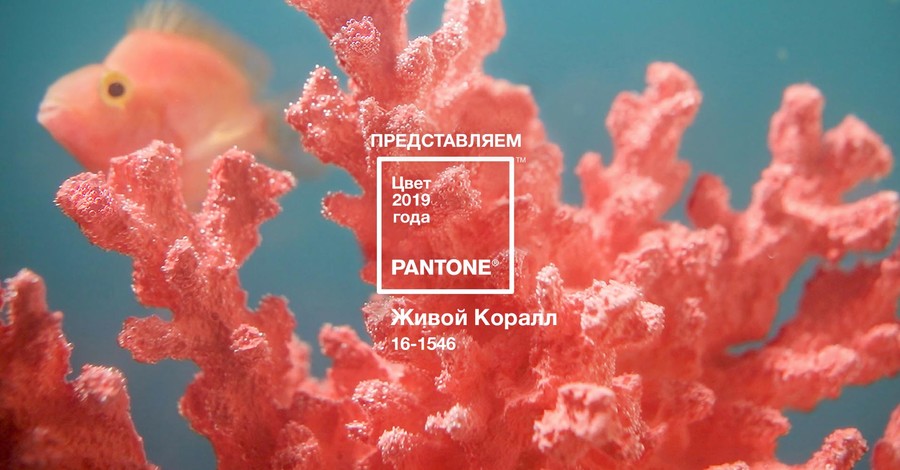 Институт Pantone назвал самый модный цвет 2019 года