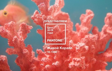 Институт Pantone назвал самый модный цвет 2019 года