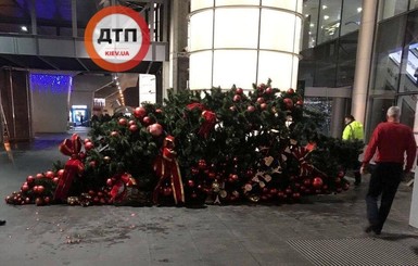 В Борисполе завалили новогоднюю елку