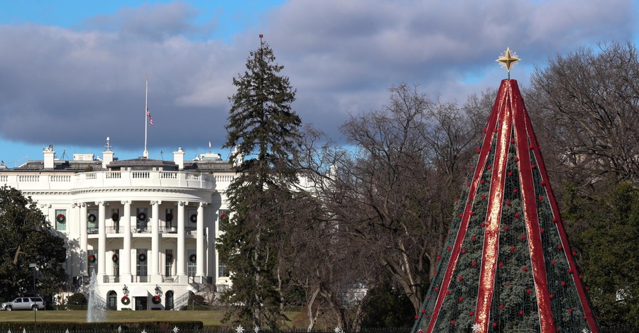 В США накануне Рождества закрыли главную елку 