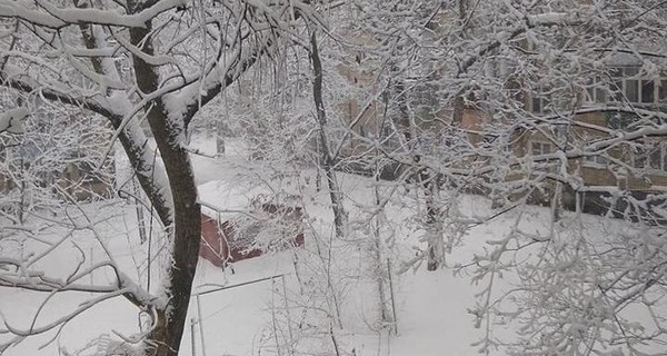 В Донецке снежный коллапс: город парализован