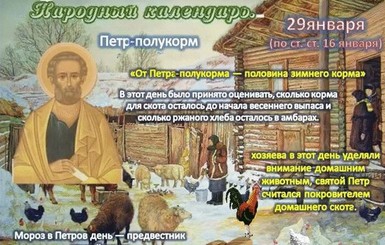 Какой 29 января праздник: приметы и традиции на Петр-полукорм