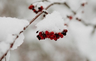 Сегодня днем,29 января, до  4-10 градусов тепла