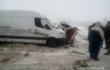 На Харьковщине микроавтобус снес заглохшую 