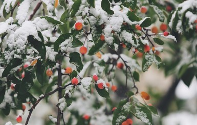 Сегодня днем, 8 февраля, тепло еще сохранится на западе и юге страны