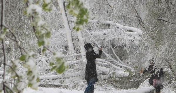 В воскресенье, 10 февраля, ночью морозы, а днем тепло