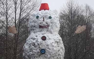 Нос из 7 морковок и детский манежик на голове: на Полтавщине слепили снеговика-рекордсмена