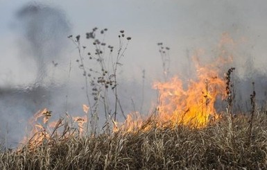 В Чернобыле снова загорелся лес