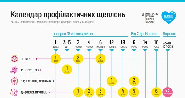 Календарь прививок