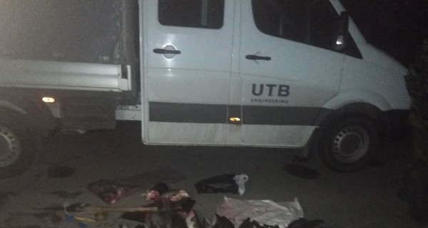 Чернобыльские сомы на прилавок не попали