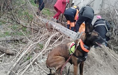 В Днепре собака нашла женщину, просидевшую в яме 3 суток  