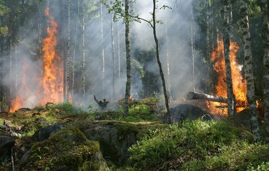 Для двух итальянских студентов барбекю закончилось штрафом в 13,5 миллионов евро